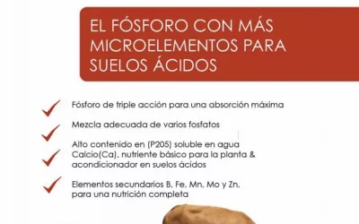 Agrícola : Llega a Chile el nuevo producto Multiphos; fósforo con MÁS microelementos para la acidez de los suelos.